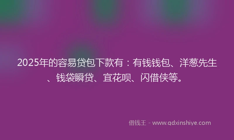 2025年的容易贷包下款有：有钱钱包、洋葱先生、钱袋瞬贷、宜花呗、闪借侠等。