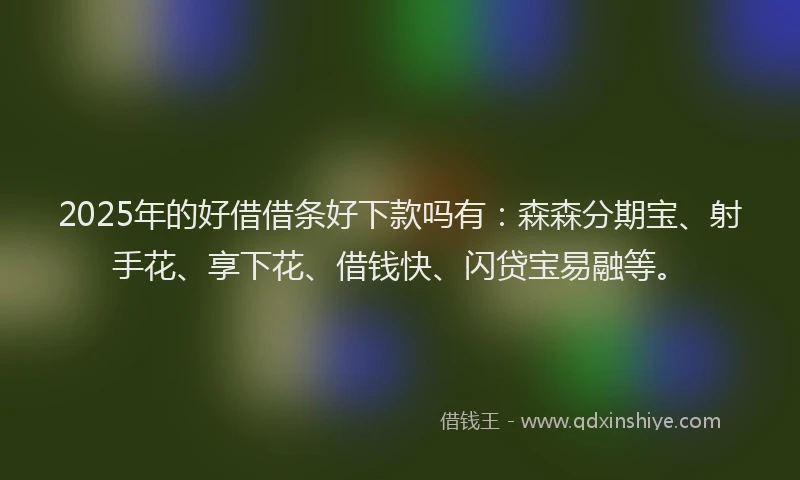 2025年的好借借条好下款吗有：森森分期宝、射手花、享下花、借钱快、闪贷宝易融等。