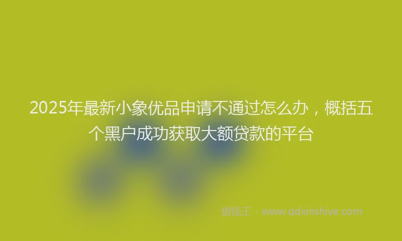 2025年最新小象优品申请不通过怎么办，概括五个黑户成功获取大额贷款的平台