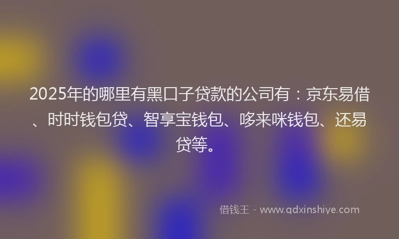 2025年的哪里有黑口子贷款的公司有：京东易借、时时钱包贷、智享宝钱包、哆来咪钱包、还易贷等。