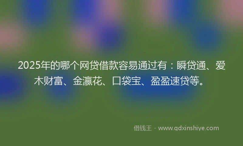 2025年的哪个网贷借款容易通过有：瞬贷通、爱木财富、金瀛花、口袋宝、盈盈速贷等。