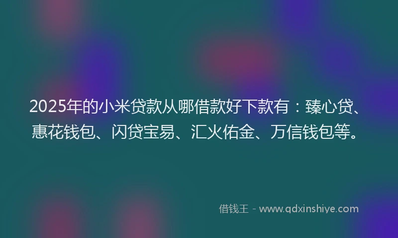 2025年的小米贷款从哪借款好下款有：臻心贷、惠花钱包、闪贷宝易、汇火佑金、万信钱包等。