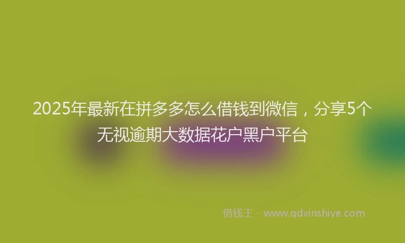 2025年最新在拼多多怎么借钱到微信，分享5个无视逾期大数据花户黑户平台