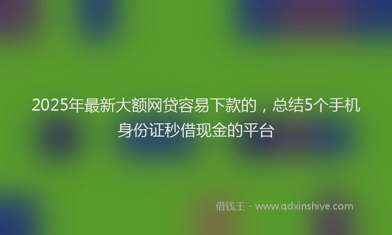 2025年最新大额网贷容易下款的，总结5个手机身份证秒借现金的平台