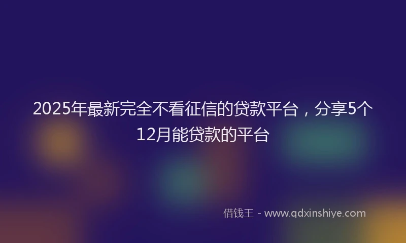 2025年最新完全不看征信的贷款平台，分享5个12月能贷款的平台