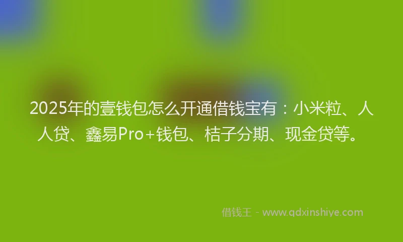 2025年的壹钱包怎么开通借钱宝有：小米粒、人人贷、鑫易Pro+钱包、桔子分期、现金贷等。