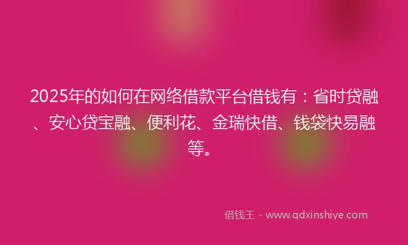 2025年的如何在网络借款平台借钱有：省时贷融、安心贷宝融、便利花、金瑞快借、钱袋快易融等。