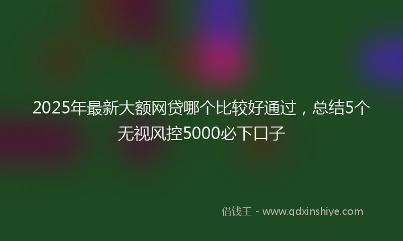 2025年最新大额网贷哪个比较好通过，总结5个无视风控5000必下口子