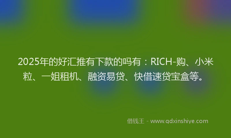 2025年的好汇推有下款的吗有：RICH-购、小米粒、一姐租机、融资易贷、快借速贷宝盒等。