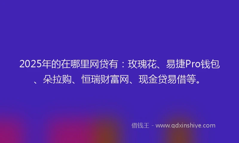 2025年的在哪里网贷有：玫瑰花、易捷Pro钱包、朵拉购、恒瑞财富网、现金贷易借等。