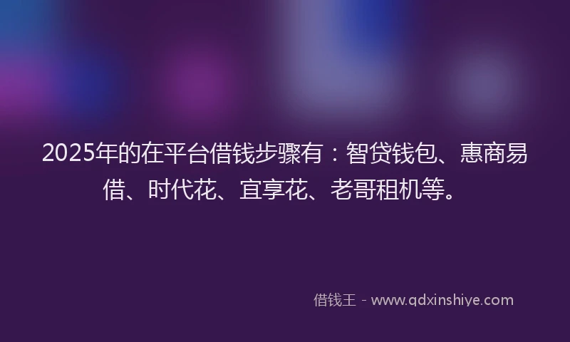 2025年的在平台借钱步骤有：智贷钱包、惠商易借、时代花、宜享花、老哥租机等。
