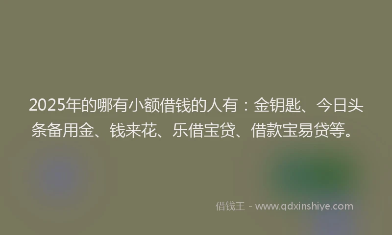 2025年的哪有小额借钱的人有：金钥匙、今日头条备用金、钱来花、乐借宝贷、借款宝易贷等。