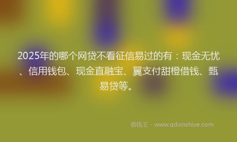 2025年的哪个网贷不看征信易过的有：现金无忧、信用钱包、现金直融宝、翼支付甜橙借钱、甄易贷等。
