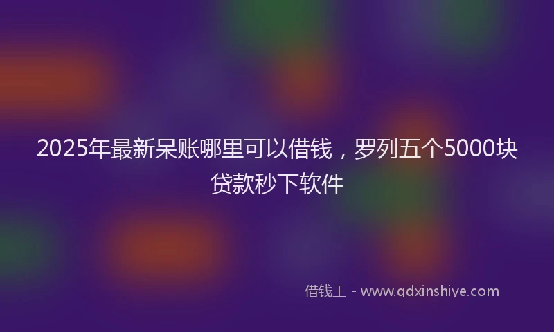 2025年最新呆账哪里可以借钱，罗列五个5000块贷款秒下软件