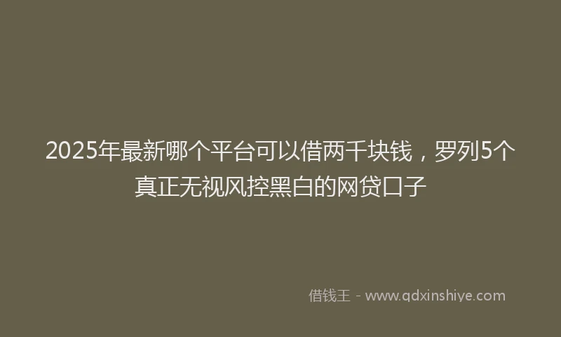 2025年最新哪个平台可以借两千块钱，罗列5个真正无视风控黑白的网贷口子