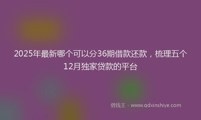 2025年最新哪个可以分36期借款还款，梳理五个12月独家贷款的平台