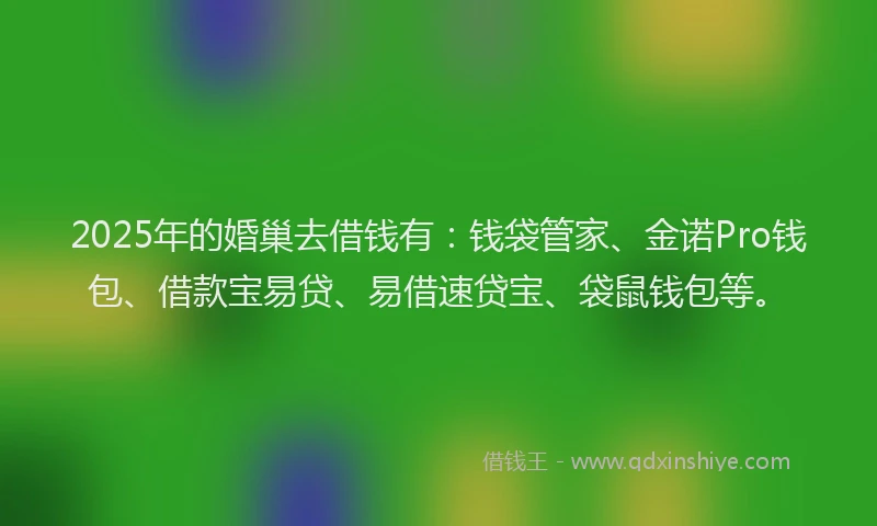 2025年的婚巢去借钱有：钱袋管家、金诺Pro钱包、借款宝易贷、易借速贷宝、袋鼠钱包等。