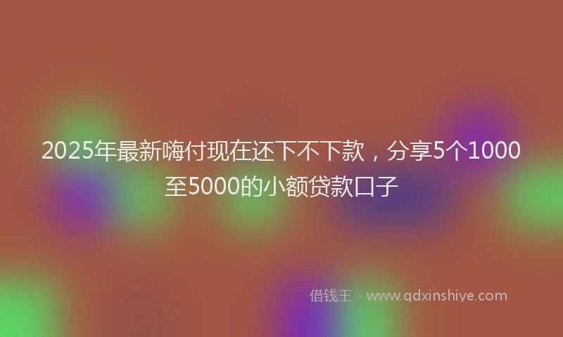 2025年最新嗨付现在还下不下款，分享5个1000至5000的小额贷款口子