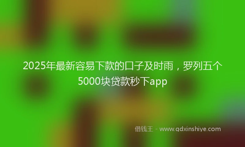 2025年最新容易下款的口子及时雨，罗列五个5000块贷款秒下app