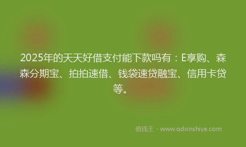 2025年的天天好借支付能下款吗有：E享购、森森分期宝、拍拍速借、钱袋速贷融宝、信用卡贷等。