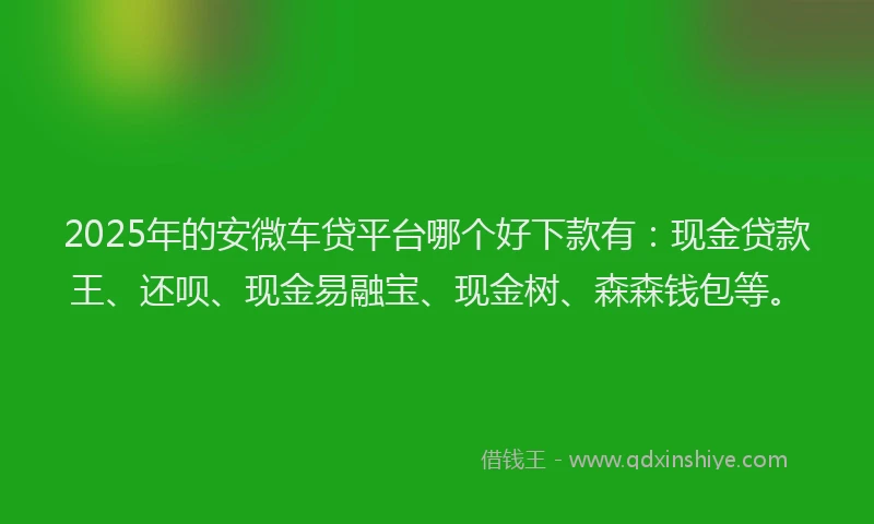 2025年的安微车贷平台哪个好下款有：现金贷款王、还呗、现金易融宝、现金树、森森钱包等。