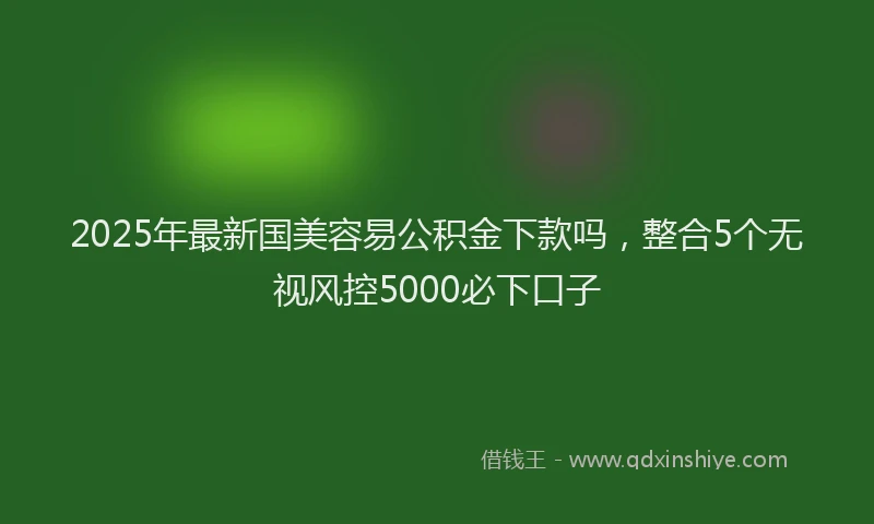 2025年最新国美容易公积金下款吗，整合5个无视风控5000必下口子