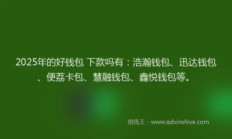 2025年的好钱包 下款吗有：浩瀚钱包、迅达钱包、便荔卡包、慧融钱包、鑫悦钱包等。