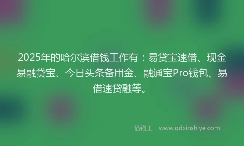 2025年的哈尔滨借钱工作有：易贷宝速借、现金易融贷宝、今日头条备用金、融通宝Pro钱包、易借速贷融等。