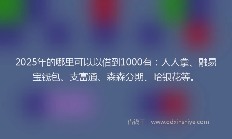 2025年的哪里可以以借到1000有：人人拿、融易宝钱包、支富通、森森分期、哈银花等。