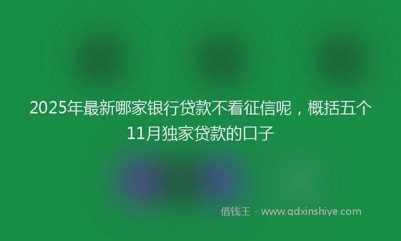 2025年最新哪家银行贷款不看征信呢，概括五个11月独家贷款的口子