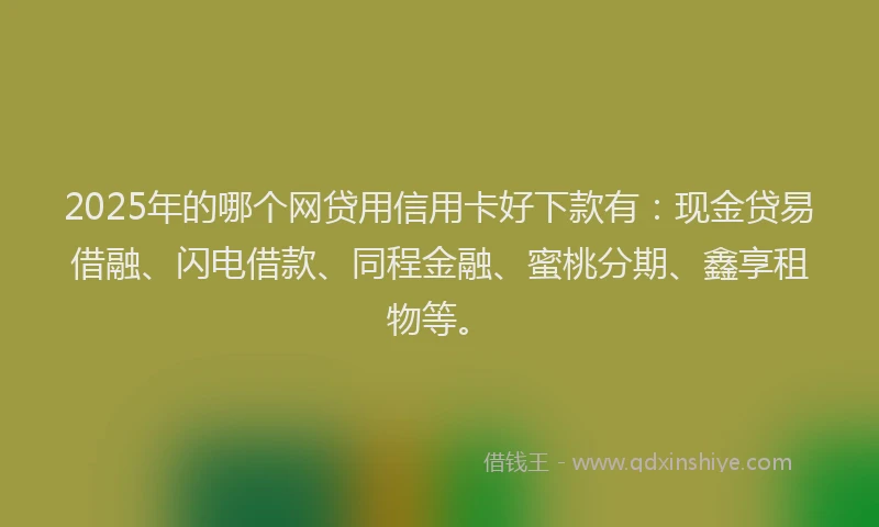 2025年的哪个网贷用信用卡好下款有：现金贷易借融、闪电借款、同程金融、蜜桃分期、鑫享租物等。
