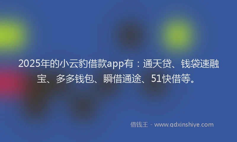 2025年的小云豹借款app有：通天贷、钱袋速融宝、多多钱包、瞬借通途、51快借等。
