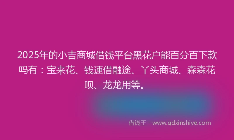 2025年的小吉商城借钱平台黑花户能百分百下款吗有：宝来花、钱速借融途、丫头商城、森森花呗、龙龙用等。
