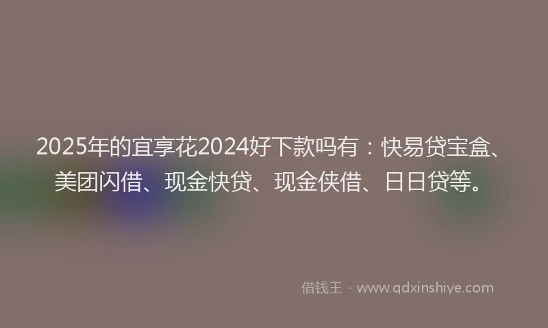 2025年的宜享花2024好下款吗有：快易贷宝盒、美团闪借、现金快贷、现金侠借、日日贷等。