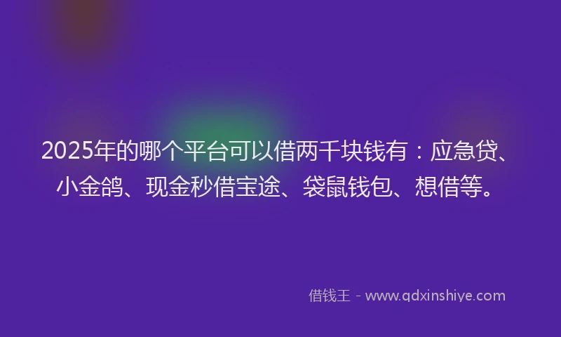 2025年的哪个平台可以借两千块钱有：应急贷、小金鸽、现金秒借宝途、袋鼠钱包、想借等。