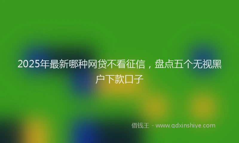 2025年最新哪种网贷不看征信，盘点五个无视黑户下款口子