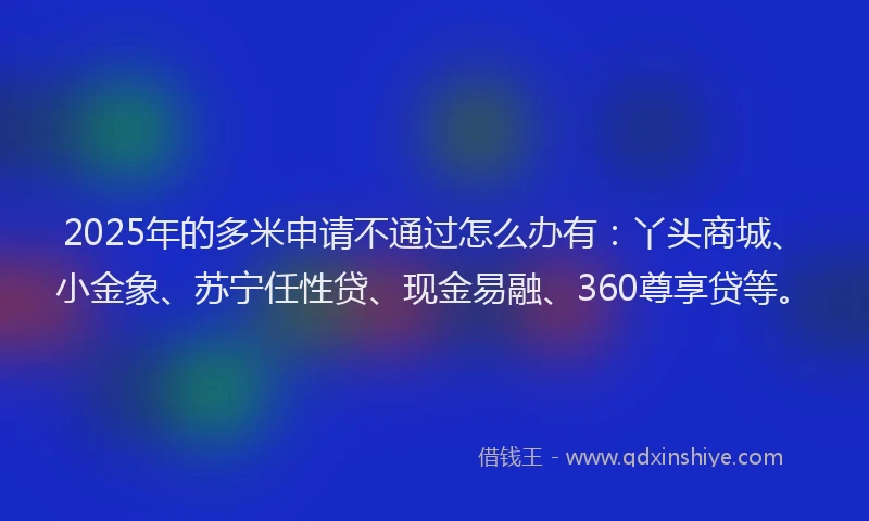 2025年的多米申请不通过怎么办有：丫头商城、小金象、苏宁任性贷、现金易融、360尊享贷等。