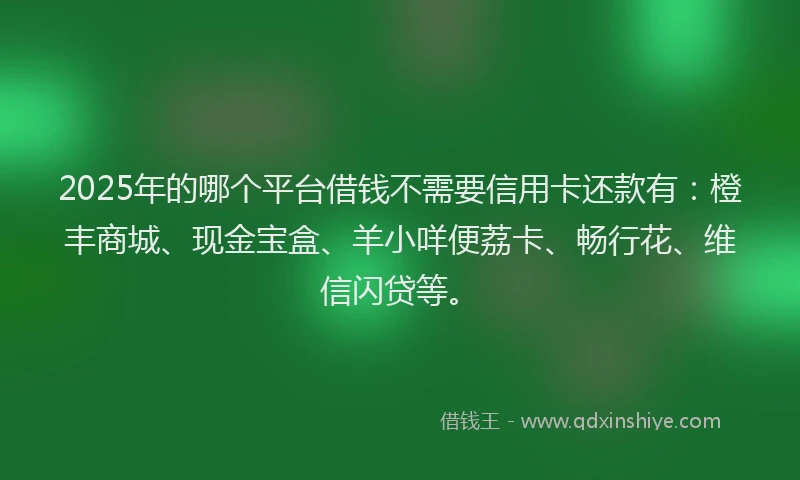 2025年的哪个平台借钱不需要信用卡还款有：橙丰商城、现金宝盒、羊小咩便荔卡、畅行花、维信闪贷等。