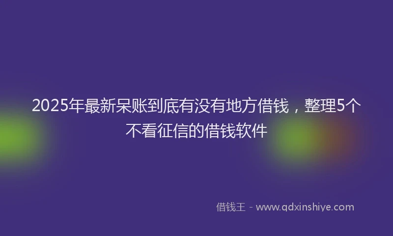 2025年最新呆账到底有没有地方借钱，整理5个不看征信的借钱软件