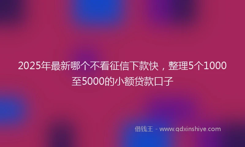 2025年最新哪个不看征信下款快，整理5个1000至5000的小额贷款口子