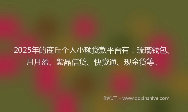 2025年的商丘个人小额贷款平台有：琉璃钱包、月月盈、紫晶信贷、快贷通、现金贷等。