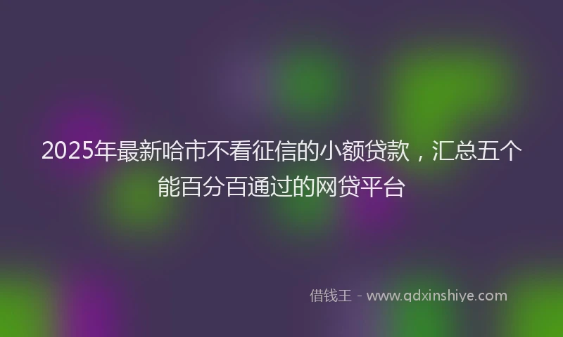 2025年最新哈市不看征信的小额贷款，汇总五个能百分百通过的网贷平台