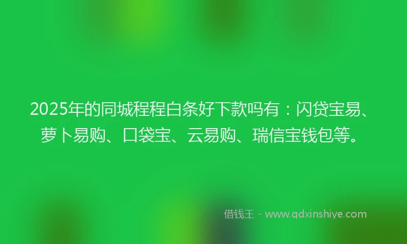 2025年的同城程程白条好下款吗有：闪贷宝易、萝卜易购、口袋宝、云易购、瑞信宝钱包等。