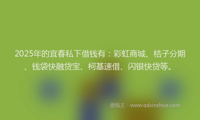 2025年的宜春私下借钱有：彩虹商城、桔子分期、钱袋快融贷宝、柯基速借、闪银快贷等。