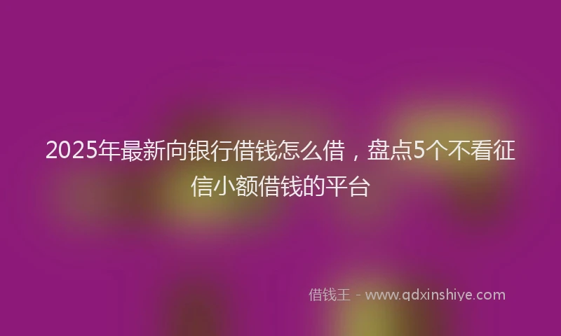 2025年最新向银行借钱怎么借，盘点5个不看征信小额借钱的平台