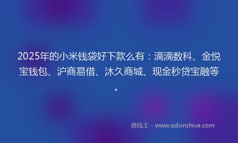 2025年的小米钱袋好下款么有：滴滴数科、金悦宝钱包、沪商易借、沐久商城、现金秒贷宝融等。