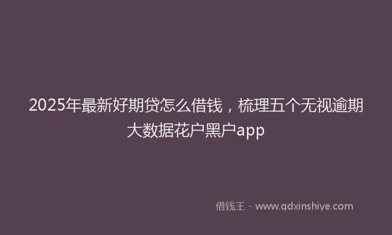 2025年最新好期贷怎么借钱，梳理五个无视逾期大数据花户黑户app