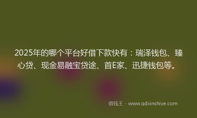 2025年的哪个平台好借下款快有：瑞泽钱包、臻心贷、现金易融宝贷途、首E家、迅捷钱包等。