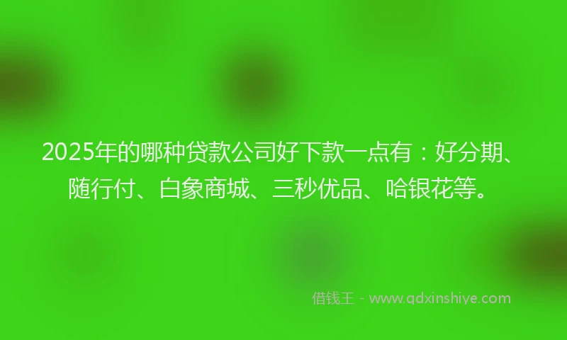 2025年的哪种贷款公司好下款一点有：好分期、随行付、白象商城、三秒优品、哈银花等。