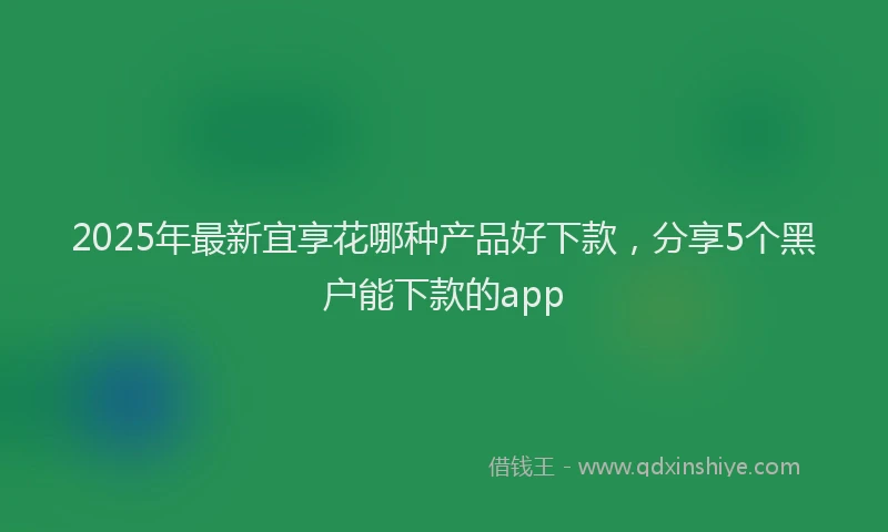 2025年最新宜享花哪种产品好下款，分享5个黑户能下款的app